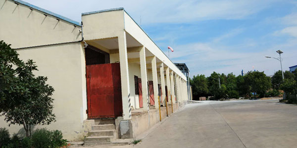 �S�^(q��)����